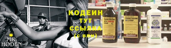 СК Семилуки