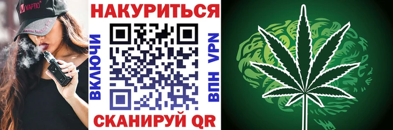 Конопля планчик  Купить закладки  Дмитров 